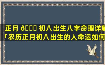 正月 🕊 初八出生八字命理详解「农历正月初八出生的人命运如何」